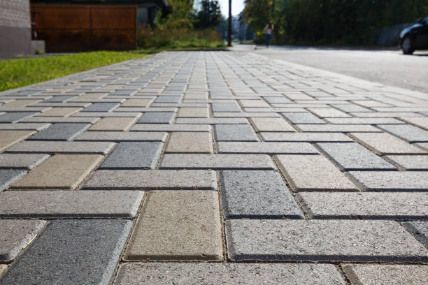 Best Driveway Pavers Near Me  in Loyal, WI