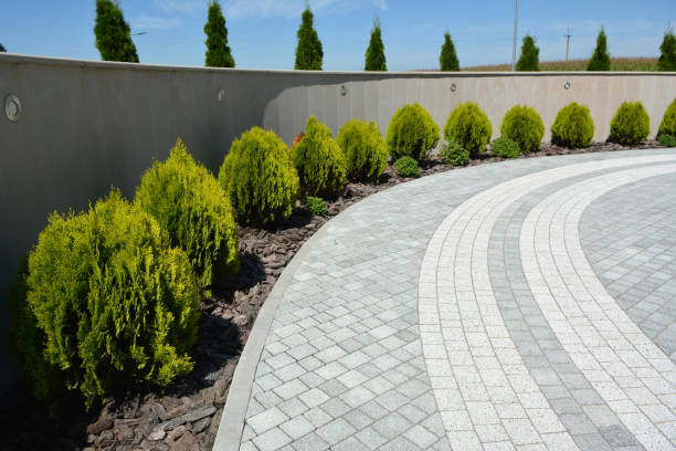 Best Brick Driveway Pavers  in Loyal, WI